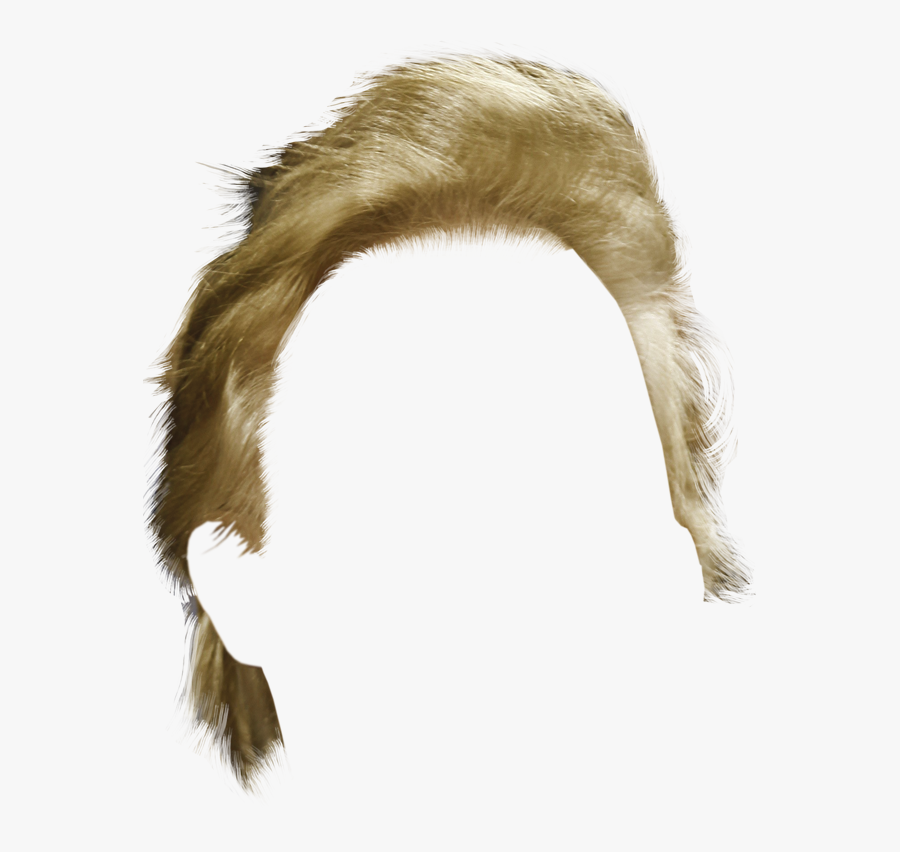 Donald Trump Hair Png, Transparent Clipart