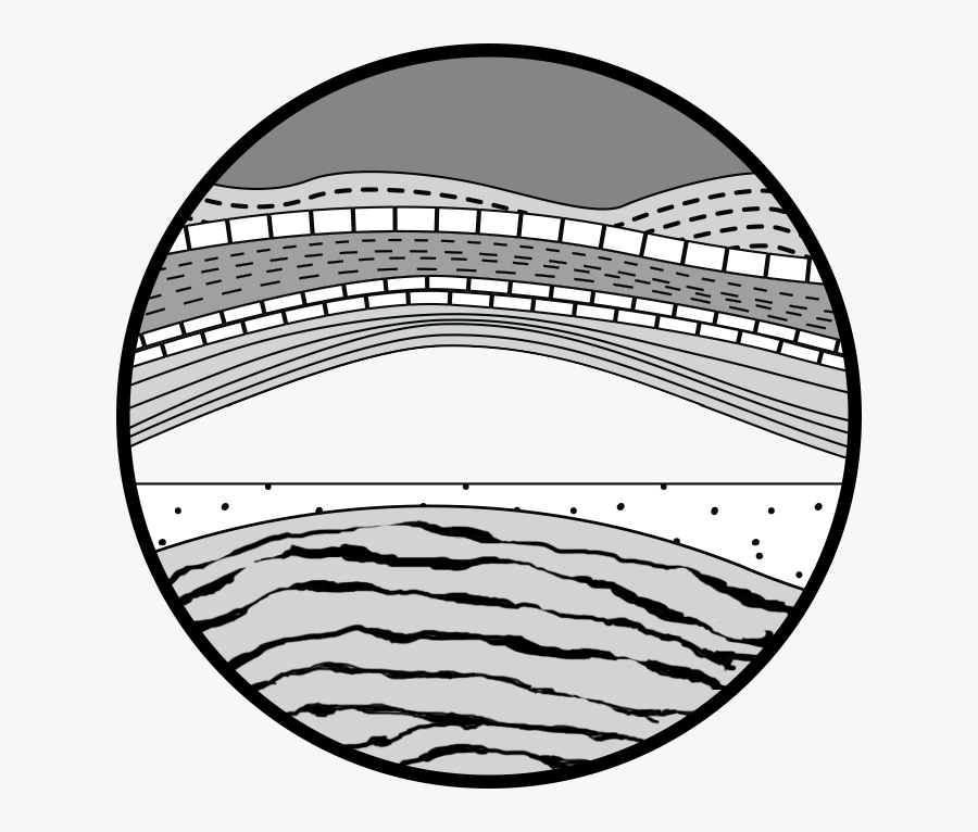 Circle, Transparent Clipart