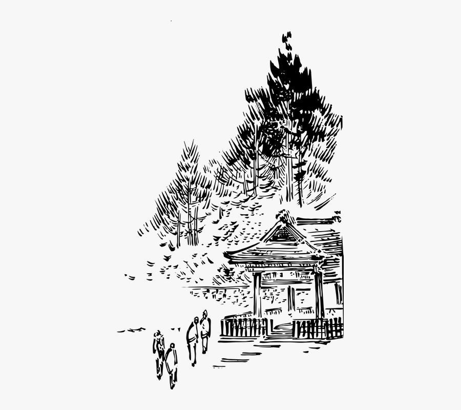 Transparent Architecture Tree Png - Colorado Spruce, Transparent Clipart