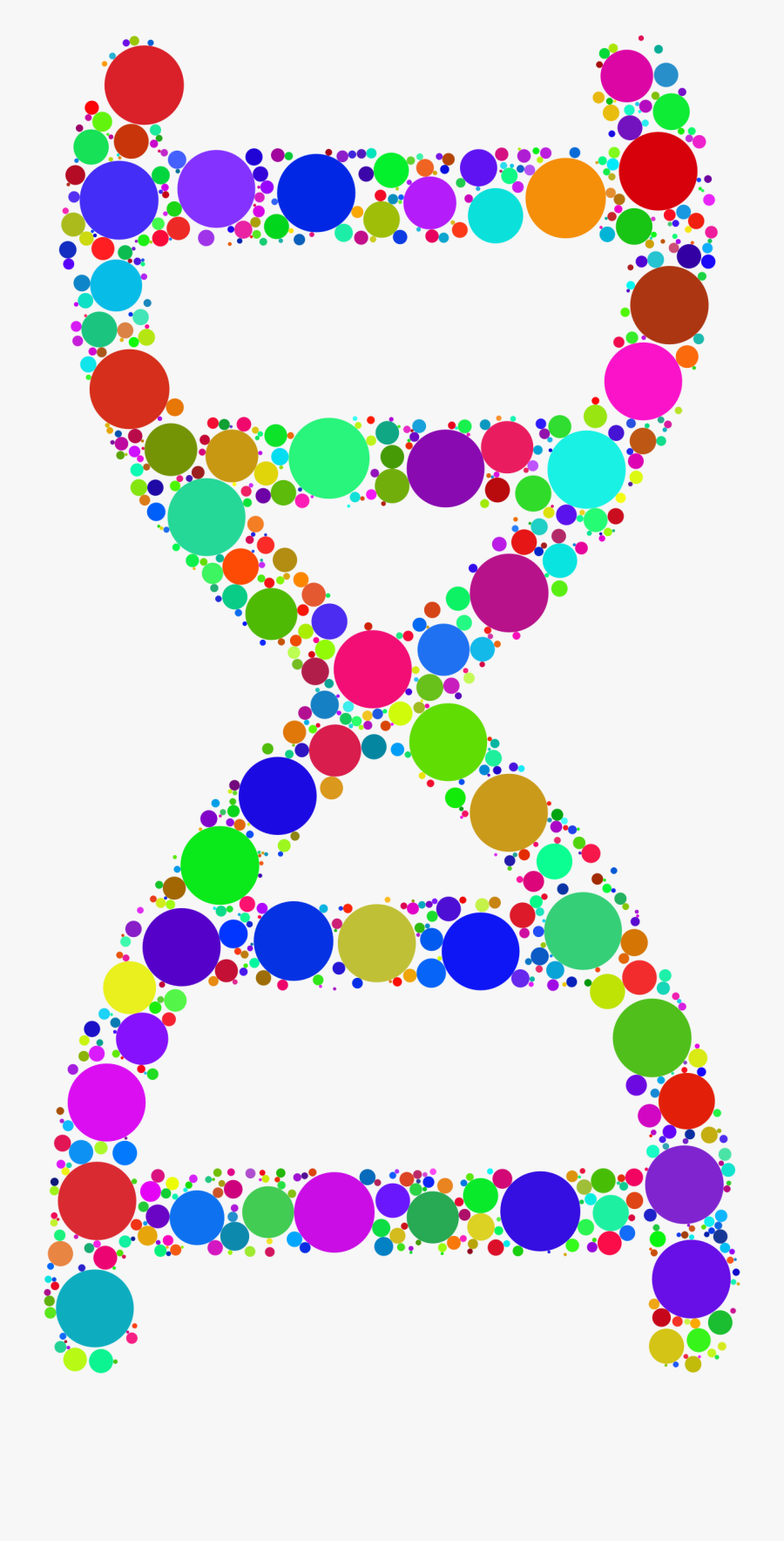 Nucleic Acid Double Helix Clipart , Png Download - Dna In Circles, Transparent Clipart