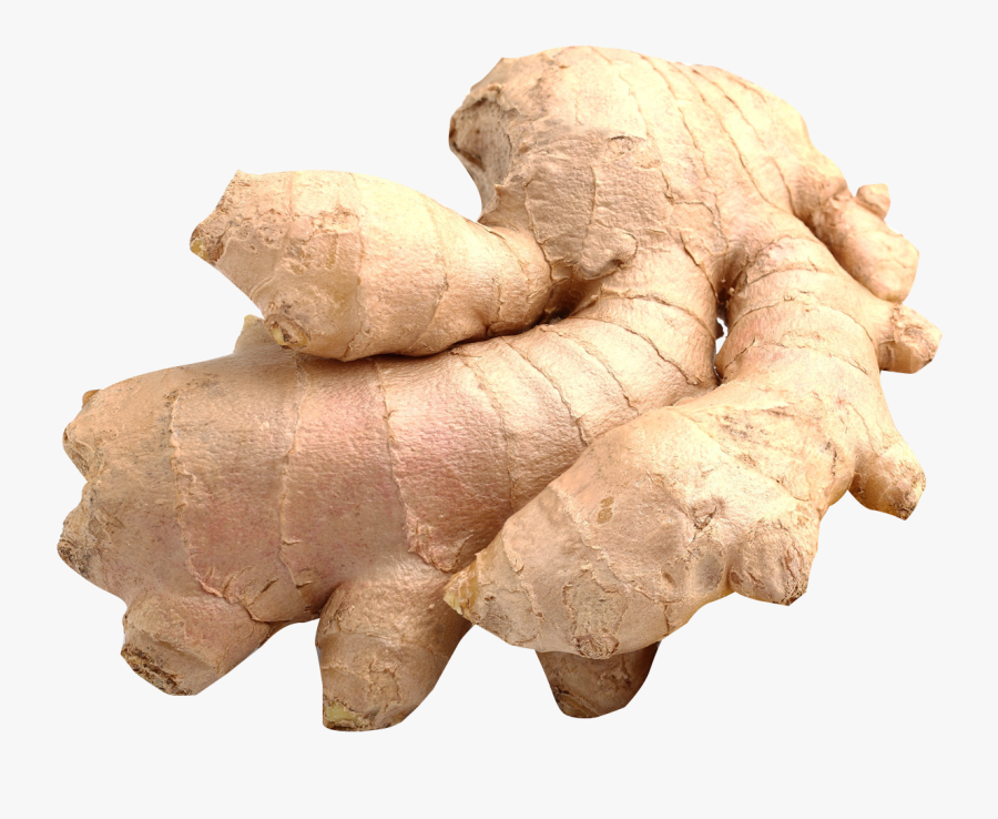 Danish Vegetable Name, Transparent Clipart