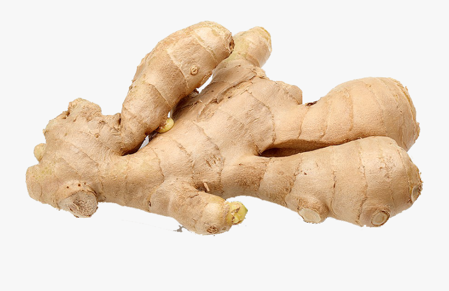 Ginger Png Background Clipart - Ginger Size, Transparent Clipart