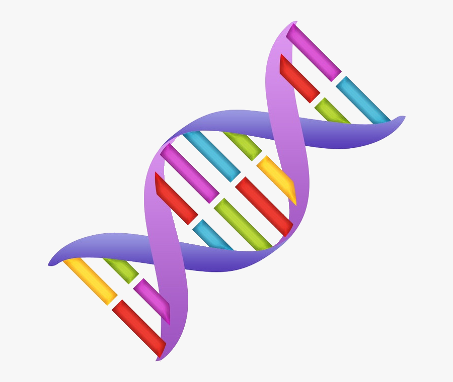 Dna Clipart Nucleic Acid - Dna Clipart, Transparent Clipart