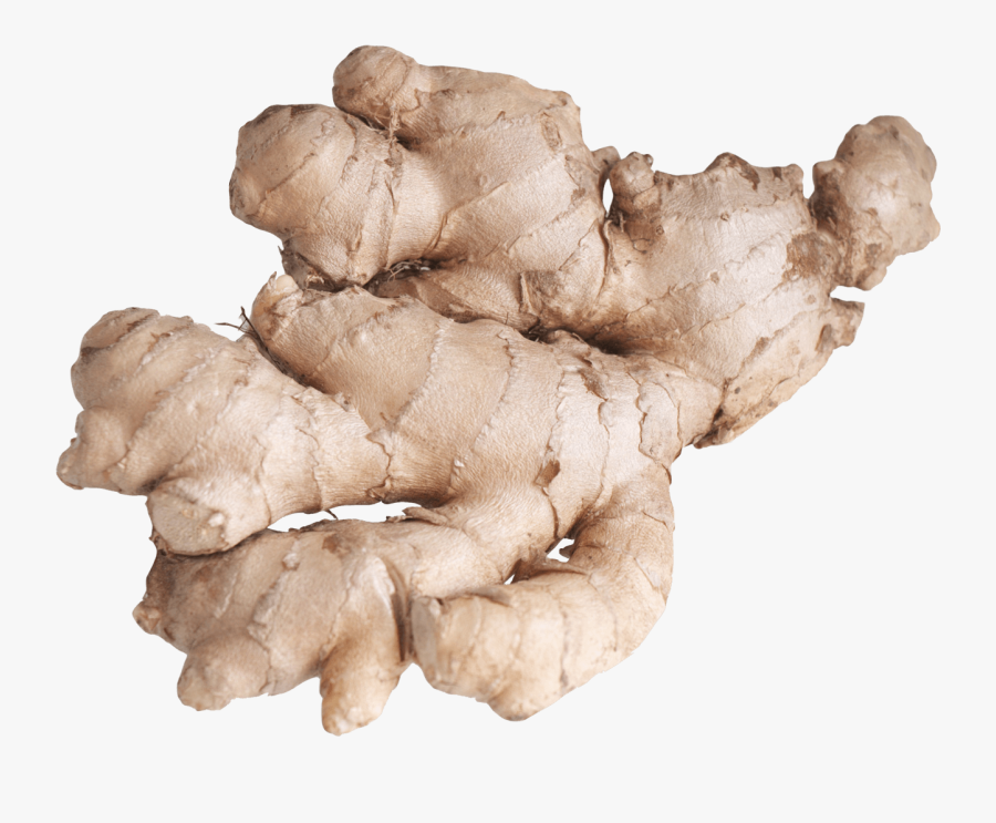 Ginger Png16787 - Ginger Root Png, Transparent Clipart