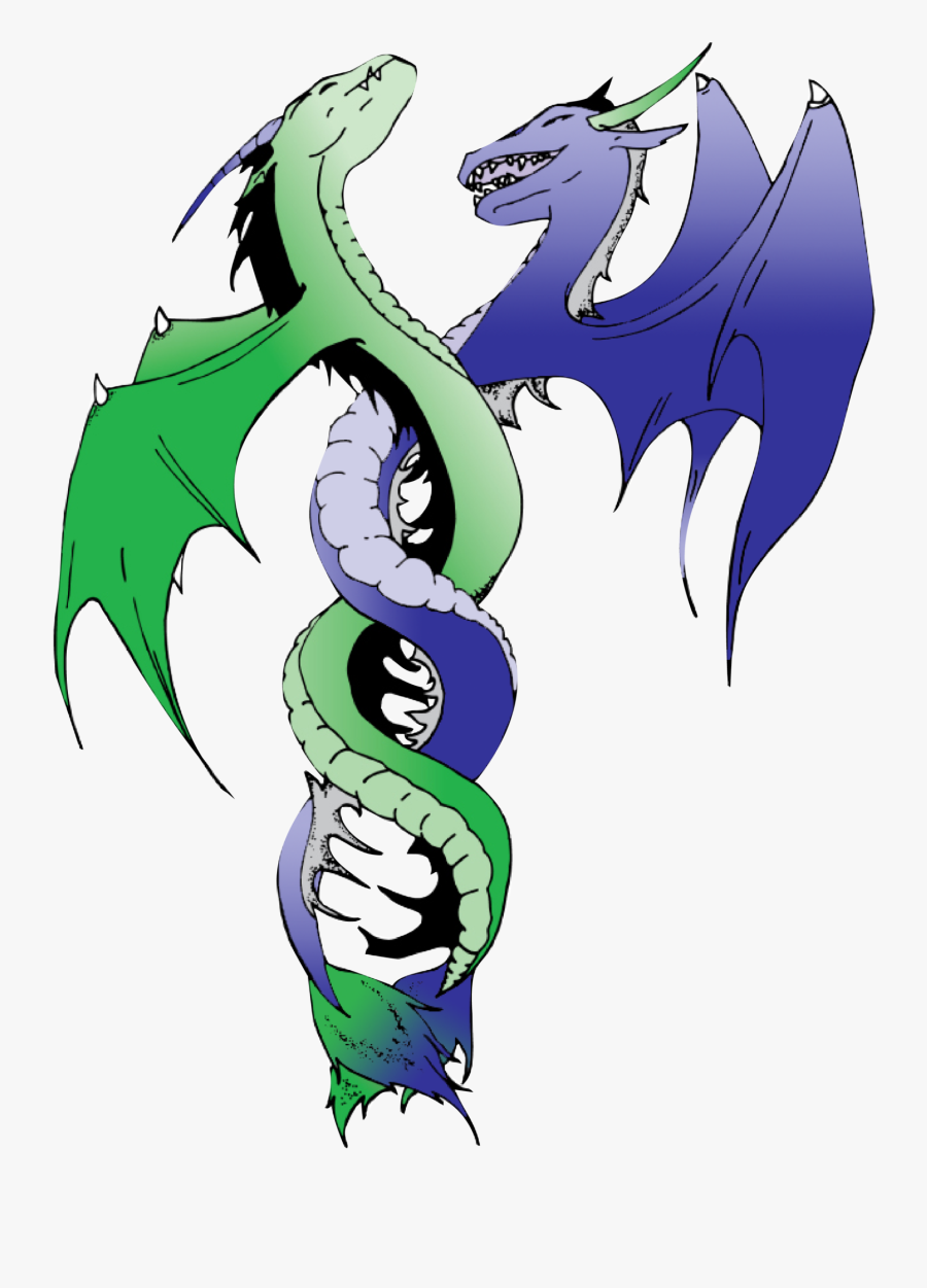 Go Double Helix Dragons - Bioscience High School Logo, Transparent Clipart