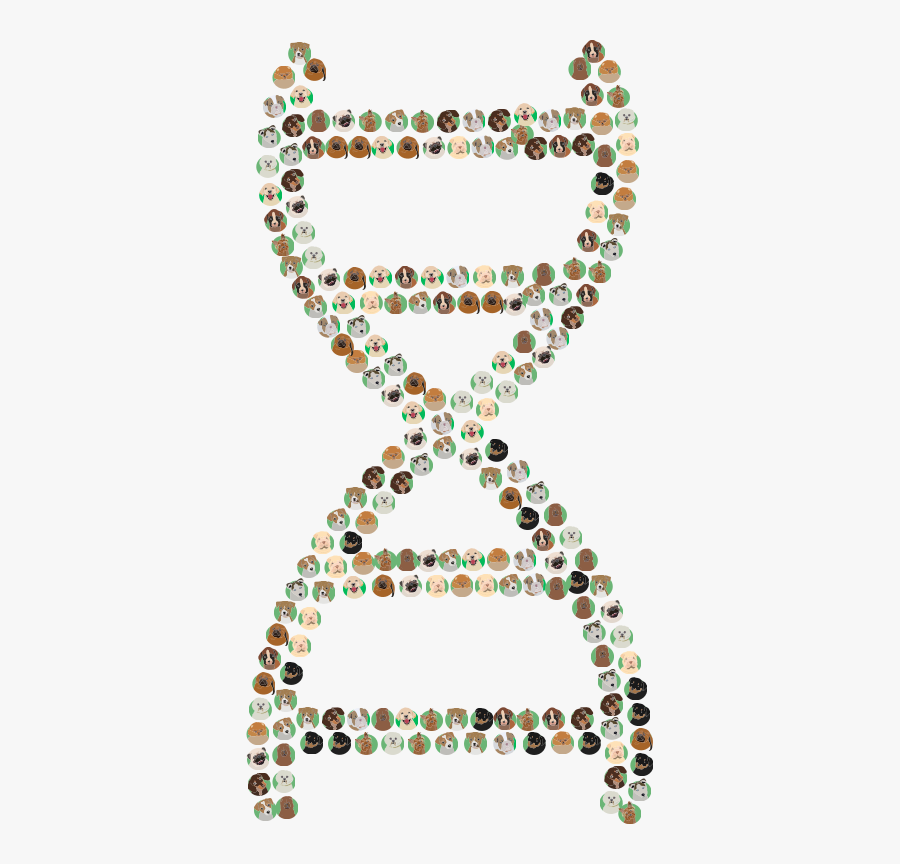 Necklace, Transparent Clipart