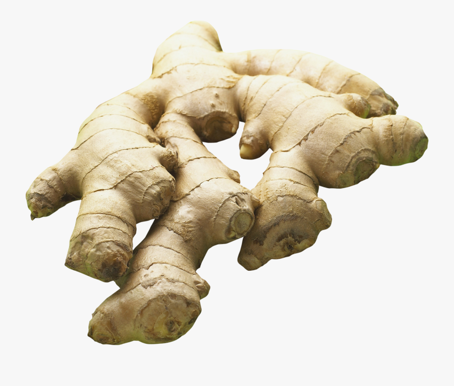 Ginger Png, Transparent Clipart