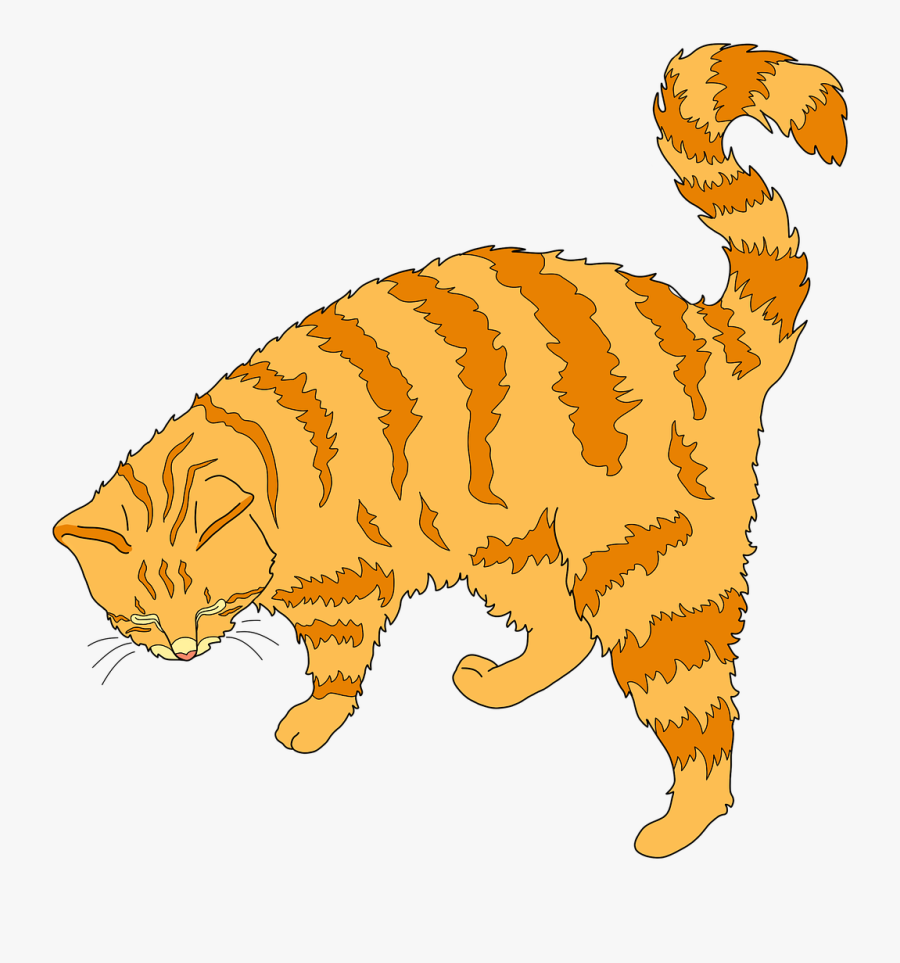 Cat Ginger Cat Cute Cat - Ginger Cat Clipart, Transparent Clipart