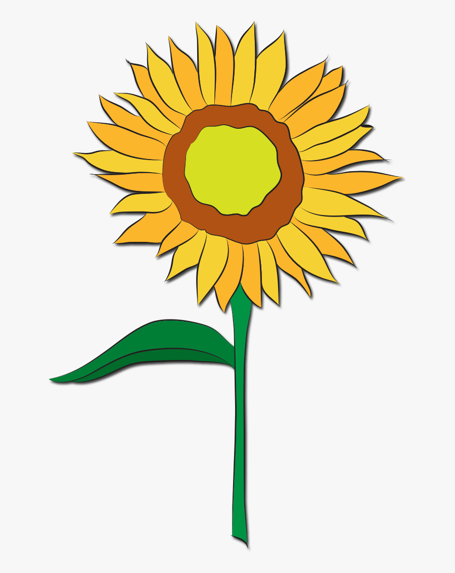 Sunflower, Transparent Clipart