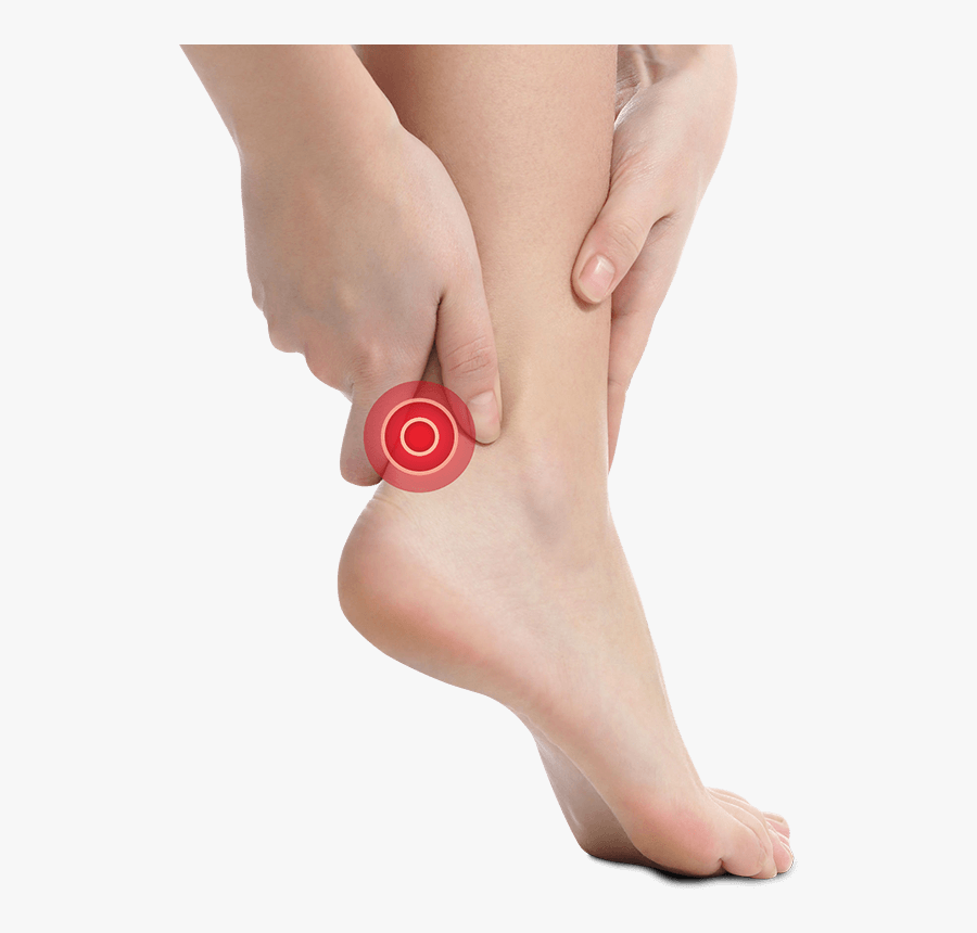 Ankle, Transparent Clipart
