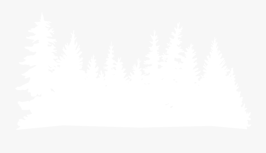 American Larch, Transparent Clipart