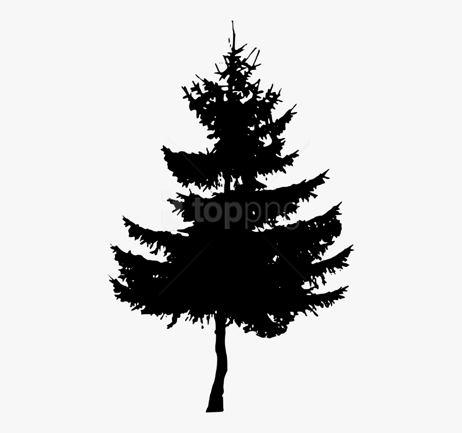 Tree,shortleaf Black Spruce,white Pine,colorado Spruce,christmas - Small Pine Tree Silhouette, Transparent Clipart