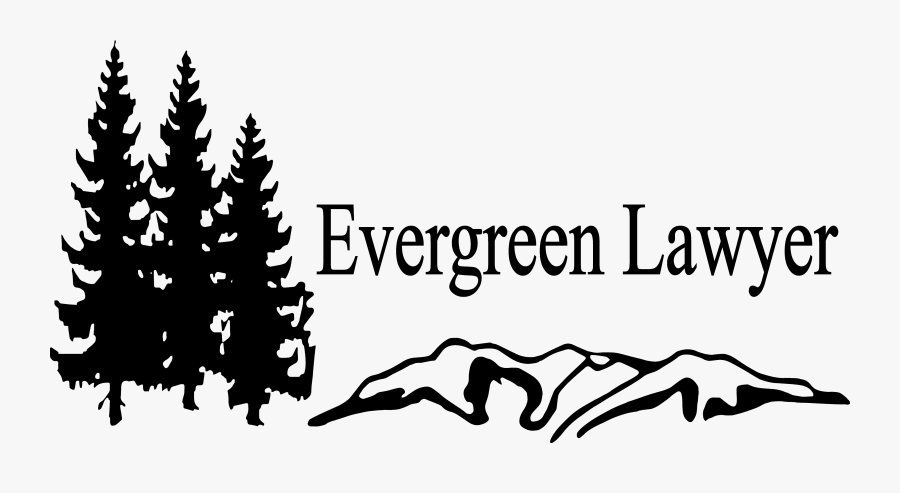 Christmas Tree, Transparent Clipart