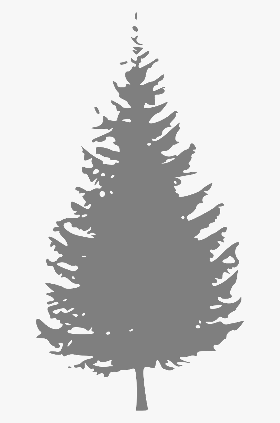 Pine Tree Clipart Free, Transparent Clipart