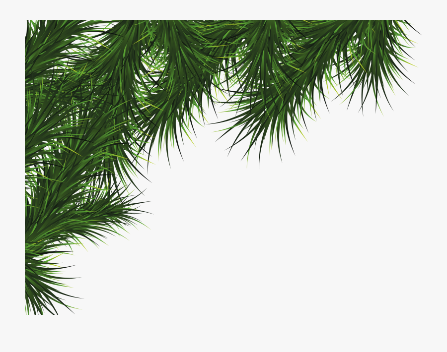 Fir-tree Png Image - Christmas Pine Png, Transparent Clipart