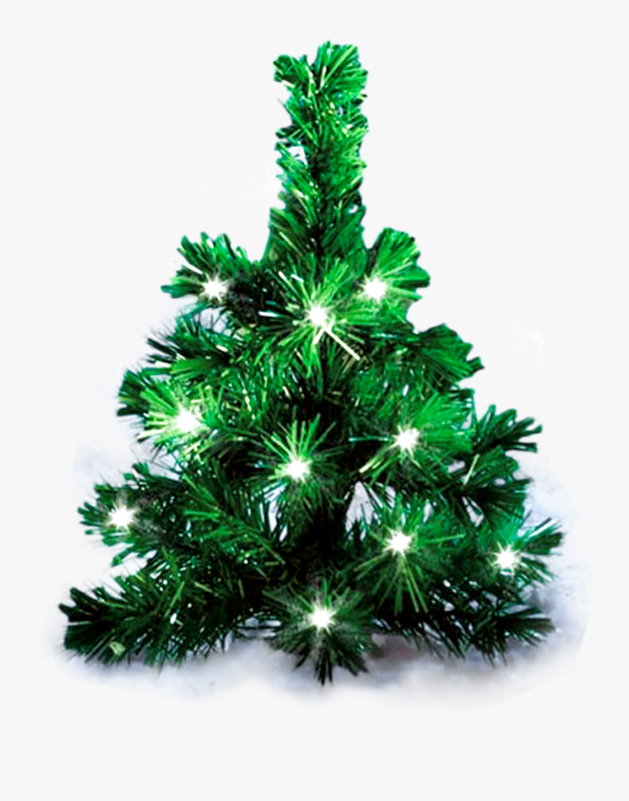 Transparent Evergreen Tree Png - Christmas Tree, Transparent Clipart