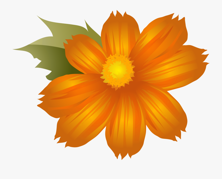Clip Art Orange Flowers Png - Portable Network Graphics, Transparent Clipart