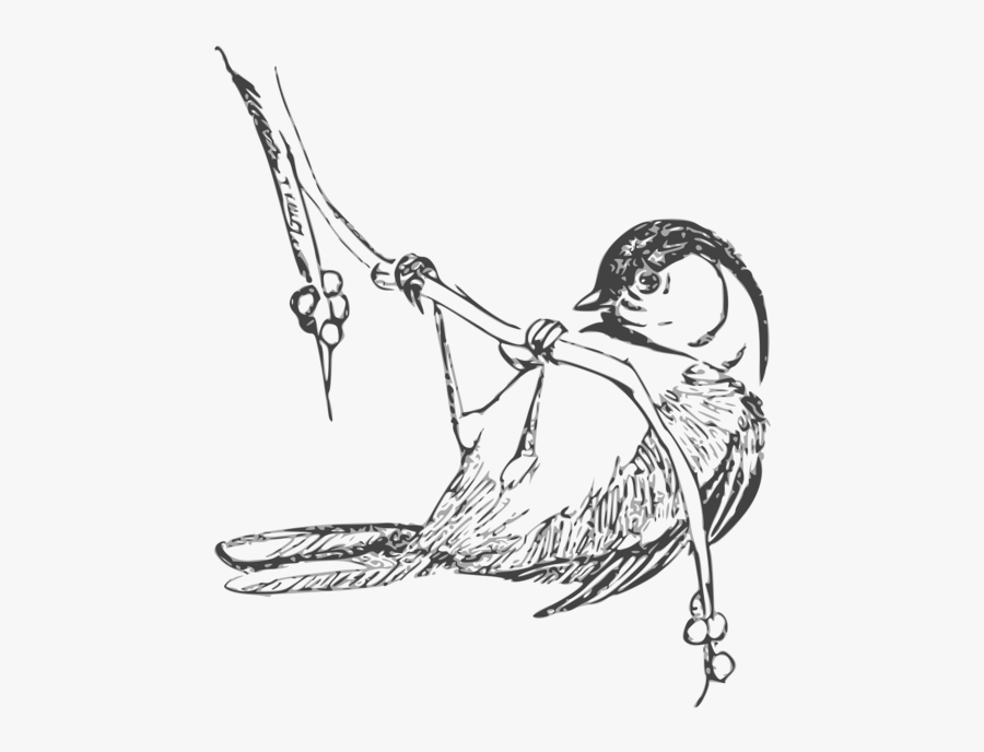 Art,monochrome Photography,beak - Birds To Color, Transparent Clipart