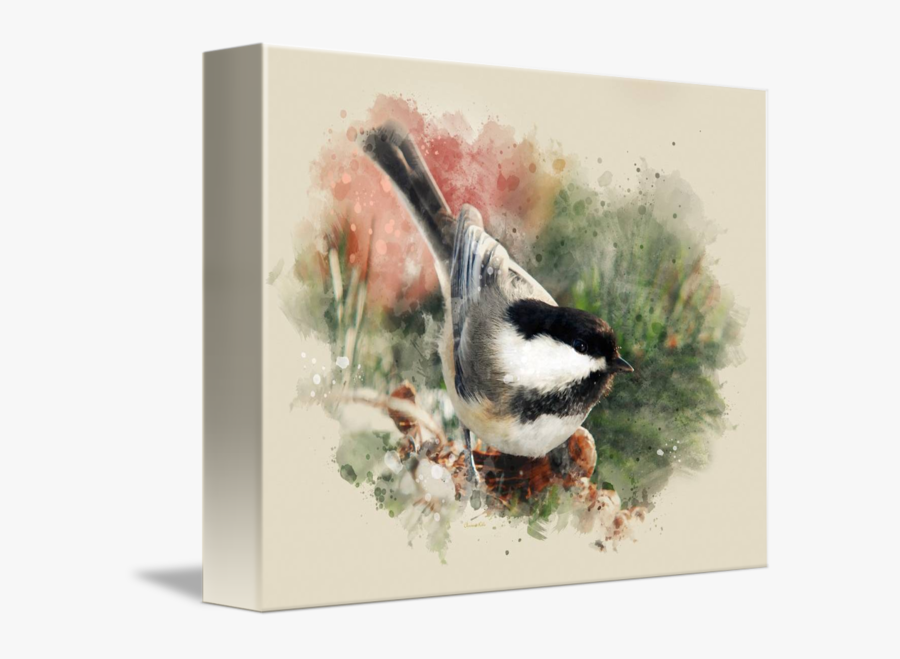 Transparent Chickadee Clipart - Perching Bird, Transparent Clipart