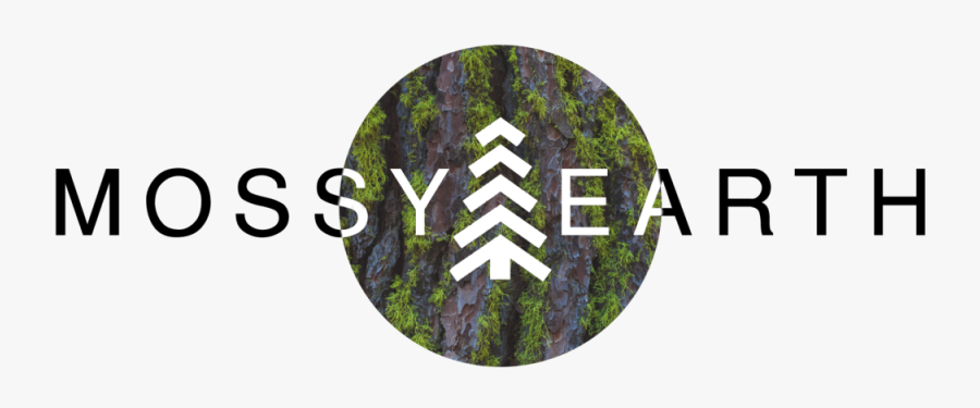 Tree Bark With Green Moss Apple Iphone 6 Plus / 6s - Eastern Hemlock, Transparent Clipart