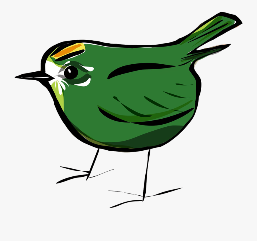 I"m Back At Home In Hertforshire, Having Completed - Wren, Transparent Clipart