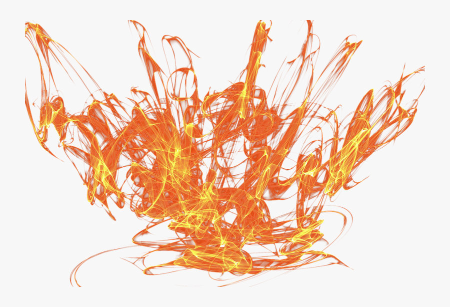 Still Life Photography, Transparent Clipart