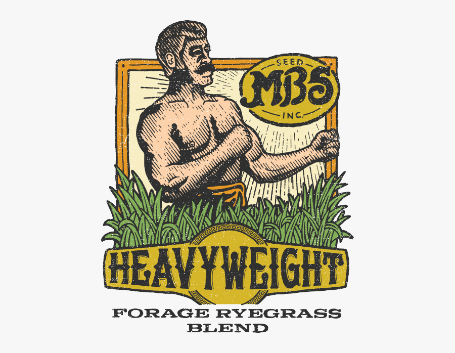 Lawn Clipart Ryegrass - Illustration, Transparent Clipart