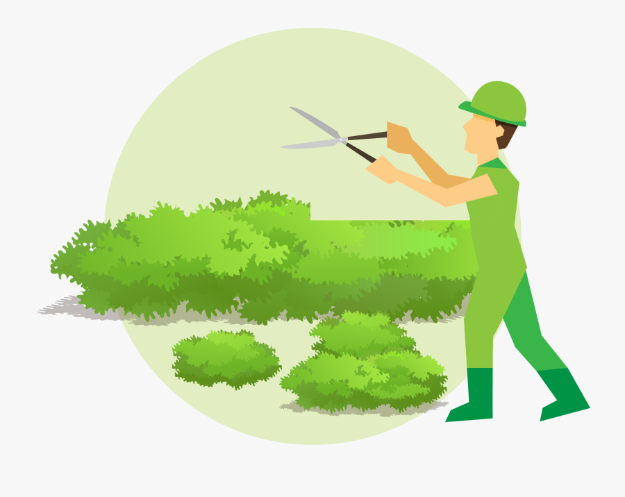 Garden Planning Guide Professional - Illustration, Transparent Clipart