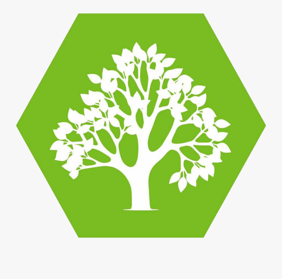 Mcauley Tree Surgery Antrim - Illustration, Transparent Clipart