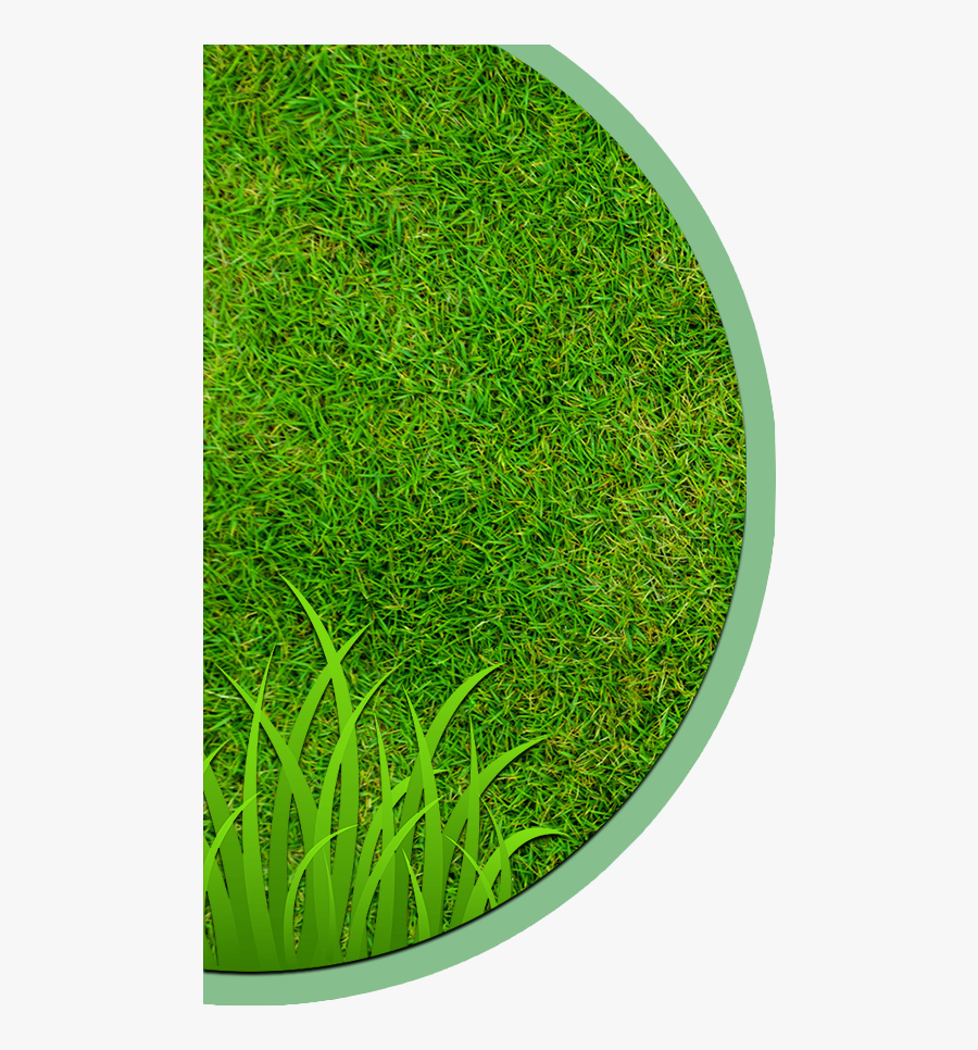 Landscaping Clipart Hedge Cutting - Circle, Transparent Clipart