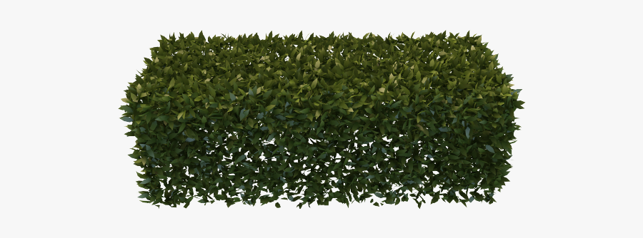 Hedges Png, Transparent Clipart