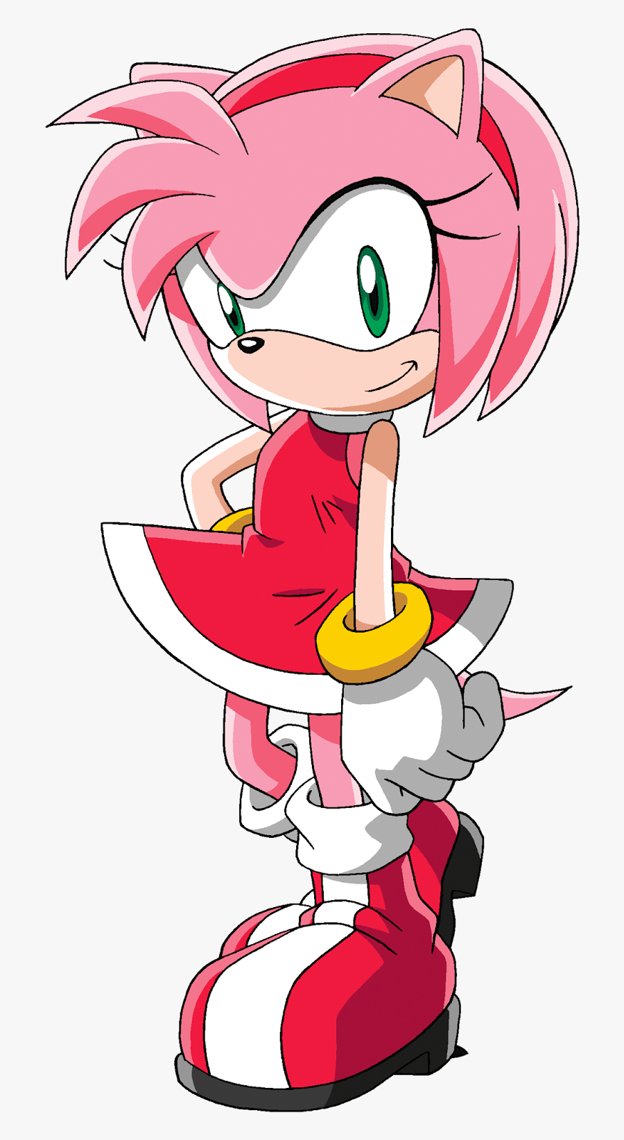 The Sonic Show By Spikehedgelion8 Cast - Amy Sonic X Characters, Transparent Clipart