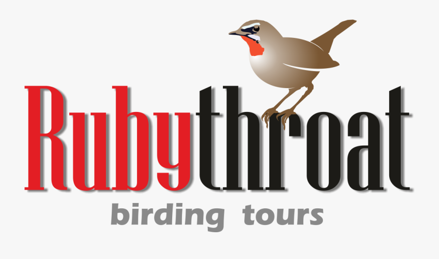 Leaders Rubythroat Birding Tours - Franche Comte, Transparent Clipart