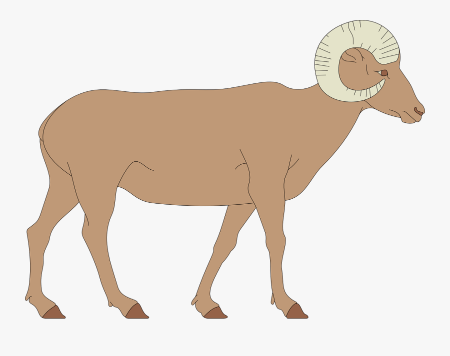 Bighorn Sheep Animated, Transparent Clipart