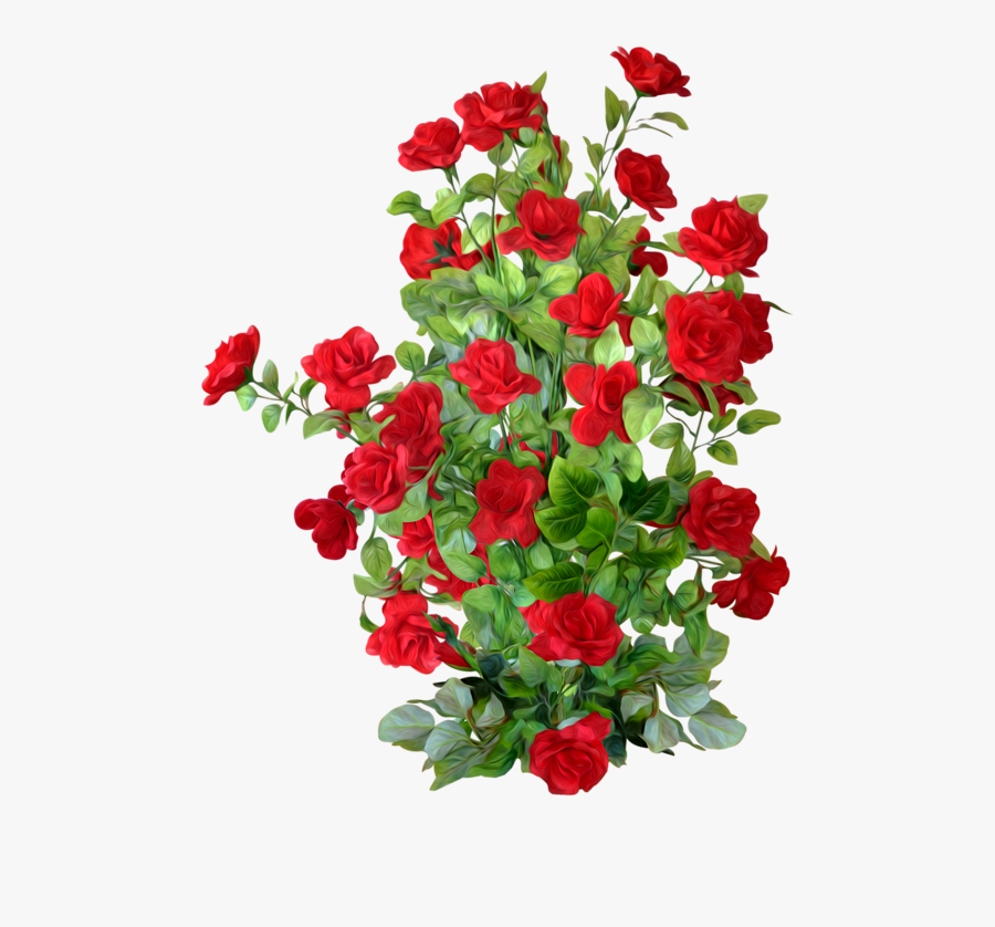 Clip Art Red Rosebush - Rose Plant Png, Transparent Clipart