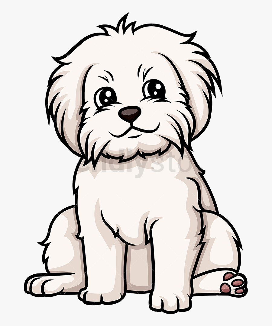 Puppy Cute Maltese Transparent Png - Maltese Cartoon, Transparent Clipart