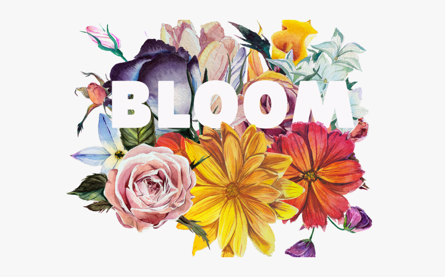 Flower Bouquet, Transparent Clipart