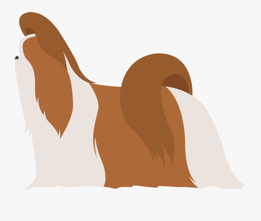 Maltese Dog Pekingese Cavalier King Charles Spaniel - Illustration, Transparent Clipart