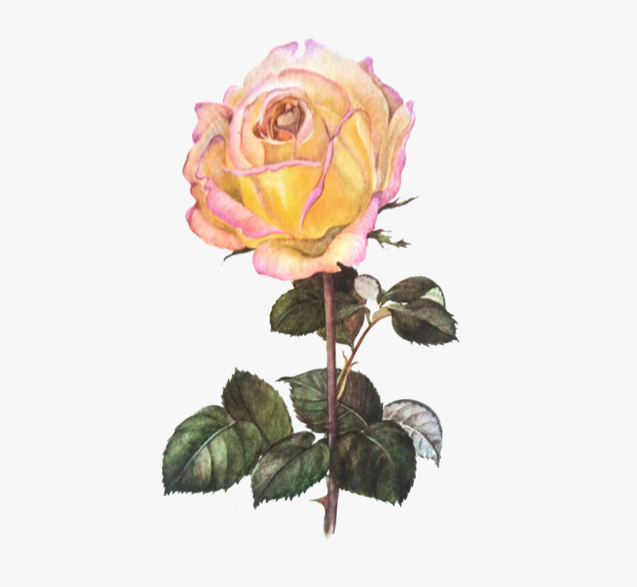 Vintage Flowers Png, Transparent Clipart