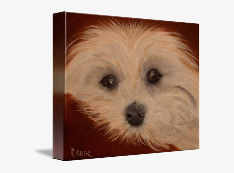 Ik Toy By Russbaker - Maltese, Transparent Clipart