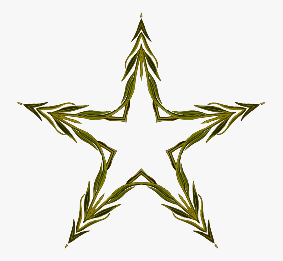 Fir,pine Family,plant - Rockstar Energy Logo Transparent, Transparent Clipart