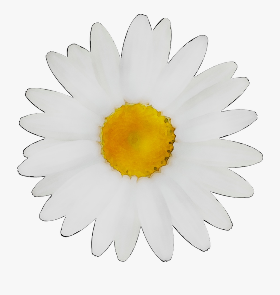 Color Spring Green Llama Summer Free Png Hq Clipart - Zrobic Kwiatka W Corelu, Transparent Clipart