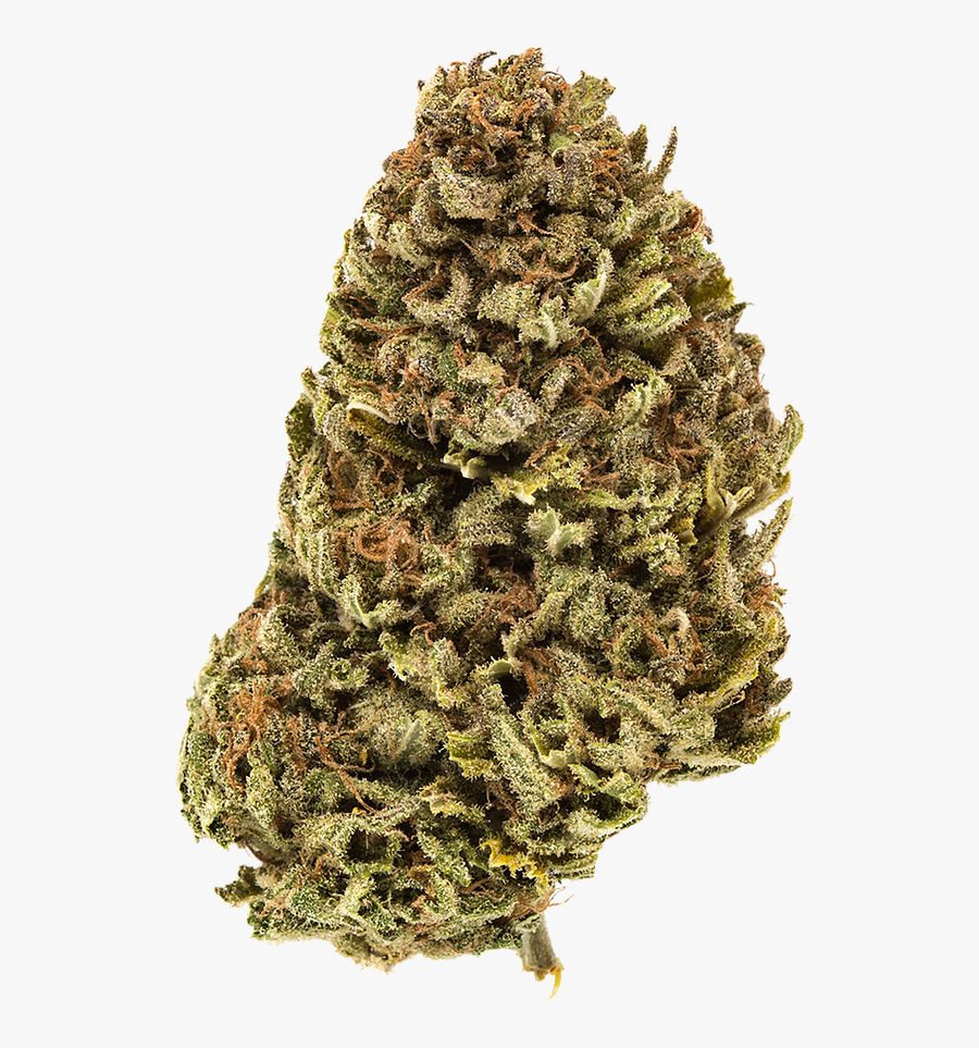 Gorilla Cake Weed - Mugwort Herb, Transparent Clipart
