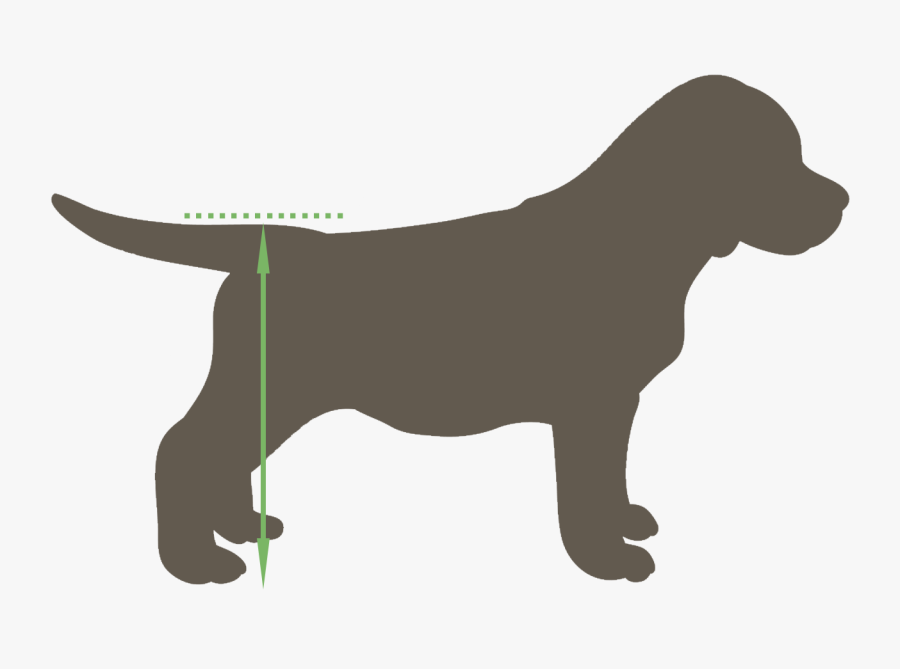 Transparent Person In Wheelchair Png - Dog, Transparent Clipart