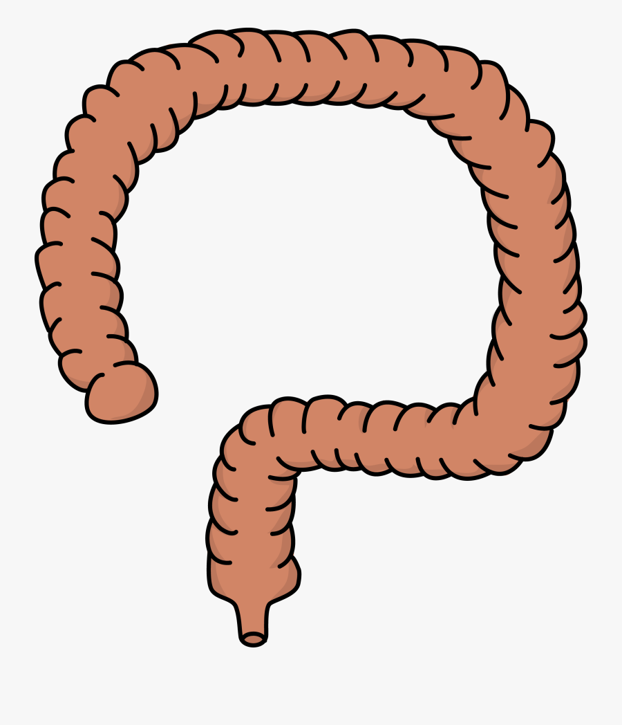 Clip Art, Transparent Clipart