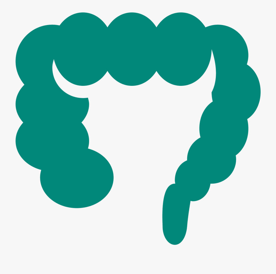 Large Intestine Computer Icons Font - Icon, Transparent Clipart