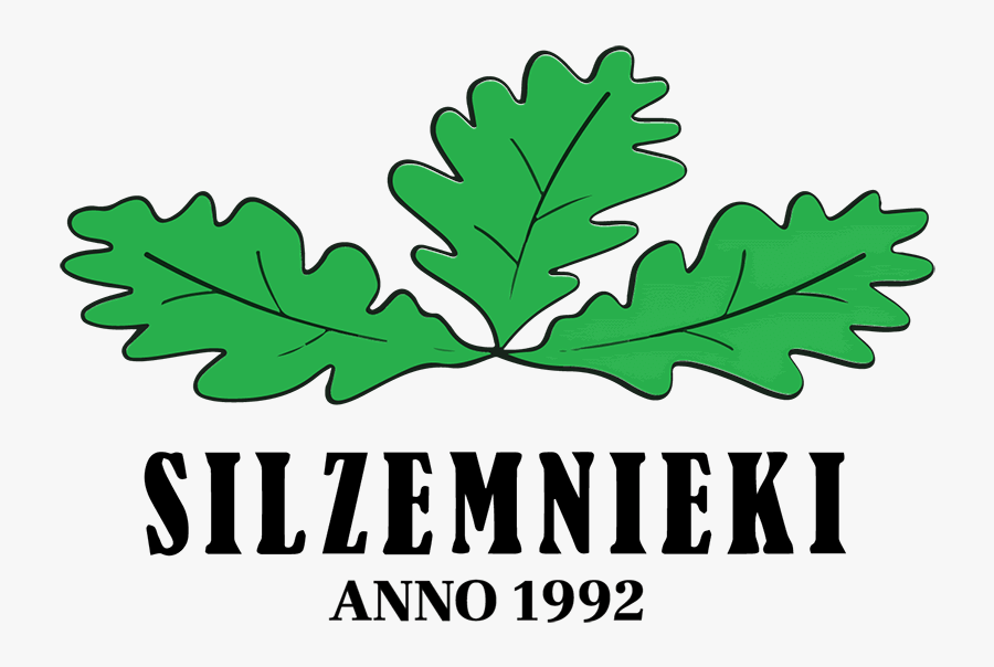 Gambel Oak, Transparent Clipart