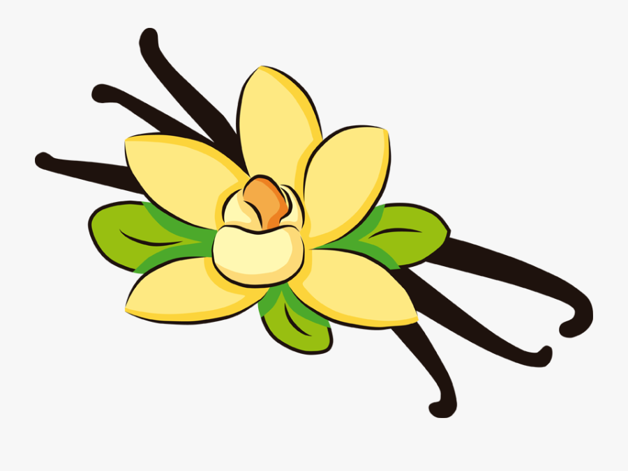 Vanilla Extract Ice Cream Cones - Vanilla Clipart, Transparent Clipart