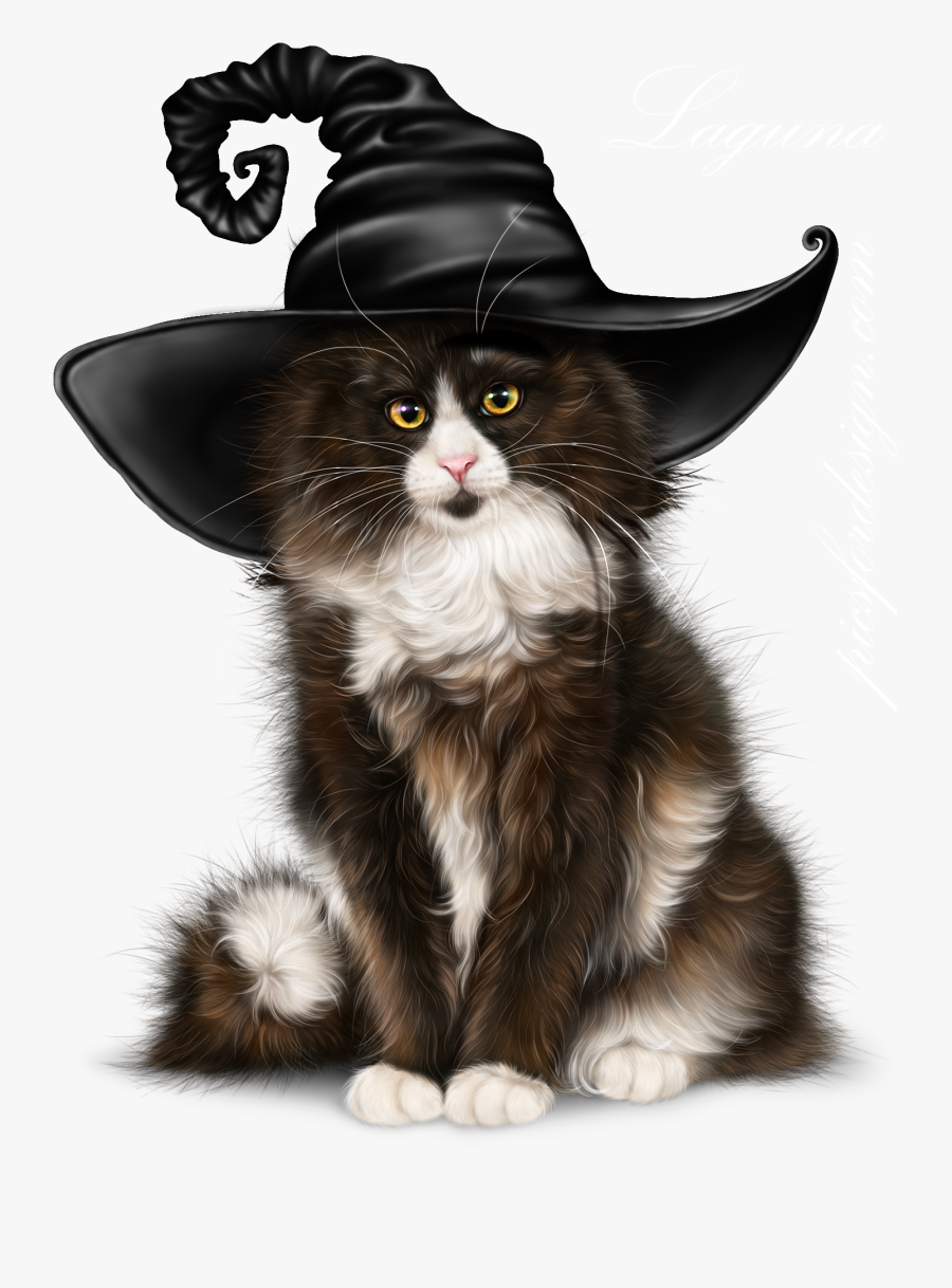 Kitten, Transparent Clipart