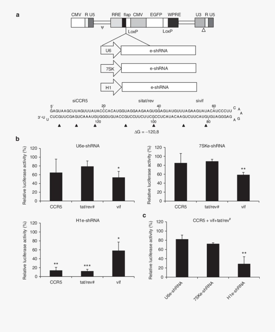 Clipart Free Nhibition Of Reporter Gene - Cytokine, Transparent Clipart